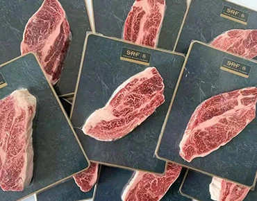 High Performance Skin Packaging Materials