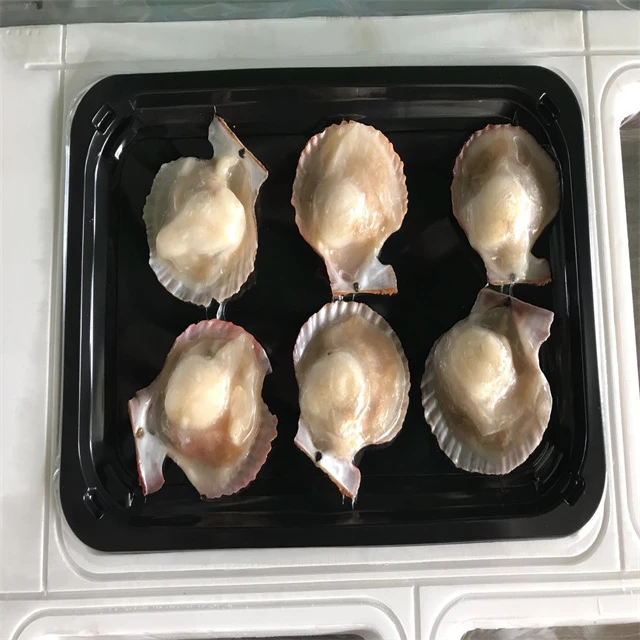 Food Frozen Film For Automatic Machine
