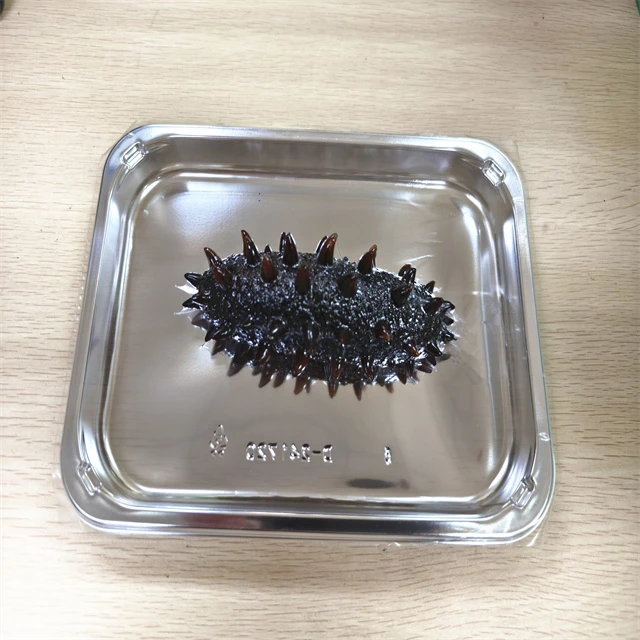 Food Anti-Puncture Film